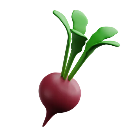 Beet  3D Icon