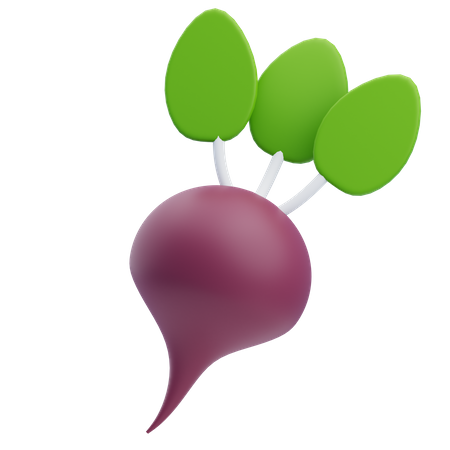 Beet  3D Icon