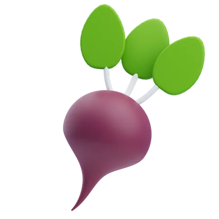 Beet  3D Icon