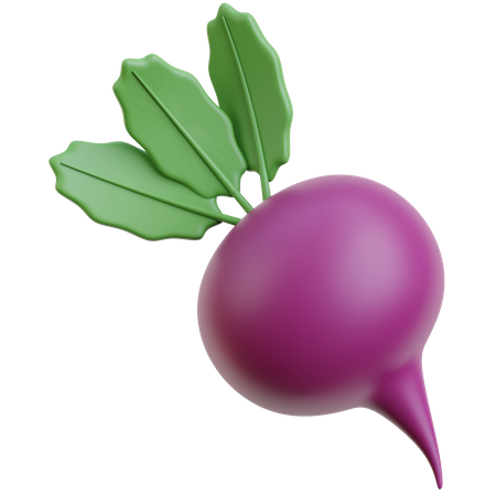 Beet  3D Icon