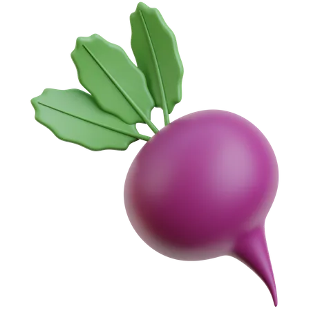 Beet  3D Icon