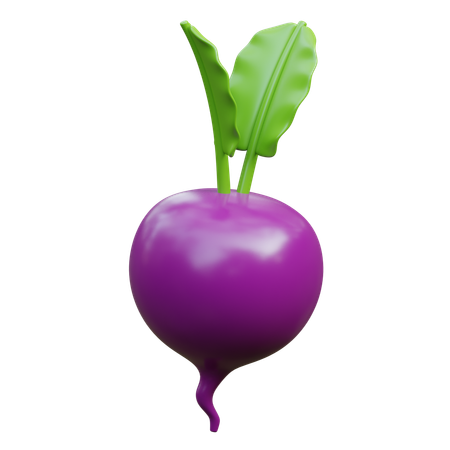 Beet  3D Icon