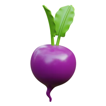 Beet  3D Icon