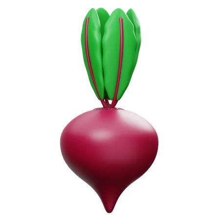 Beet  3D Icon