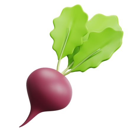 Beet  3D Icon