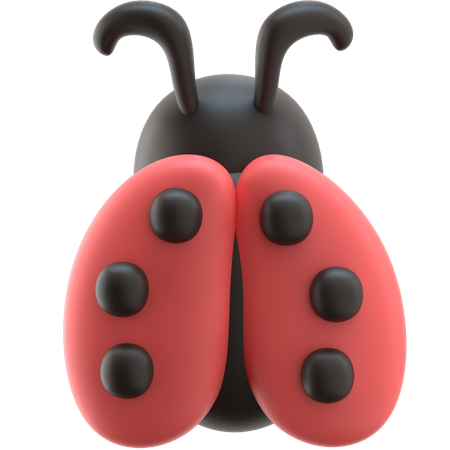 Beetle  3D Icon