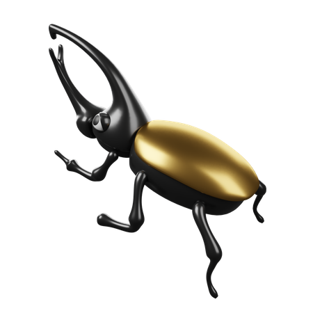 Beetle  3D Icon