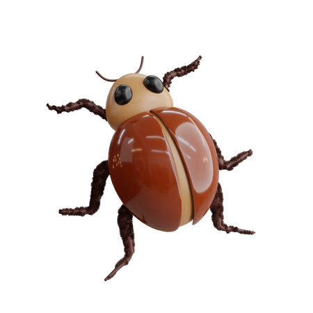 Beetles  3D Icon