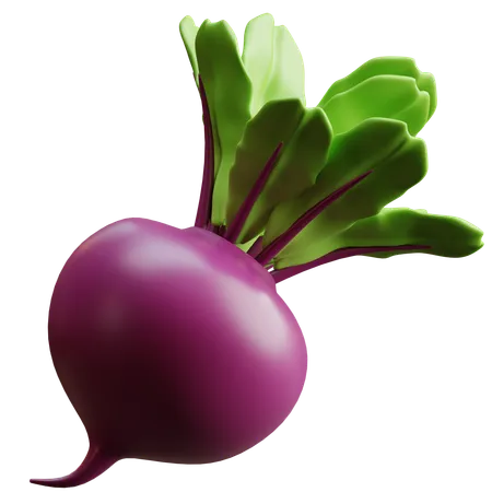 Beetroot  3D Icon