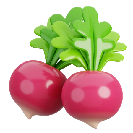 Beetroot  3D Icon