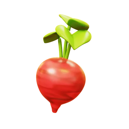 Beetroot  3D Icon