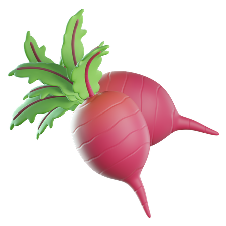 Beetroot  3D Icon