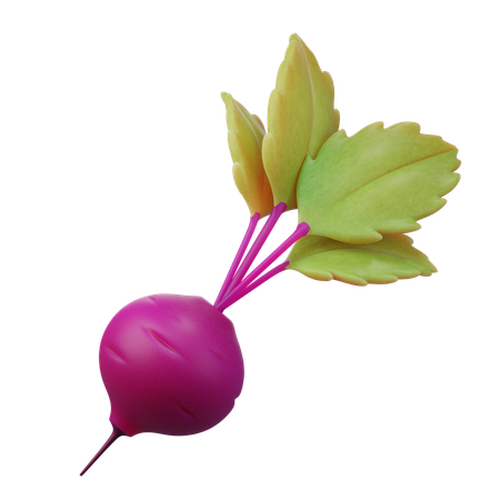 Beetroot  3D Icon