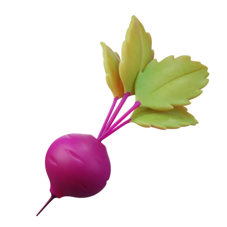 Beetroot  3D Icon