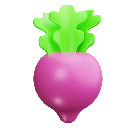 Beetroot  3D Icon