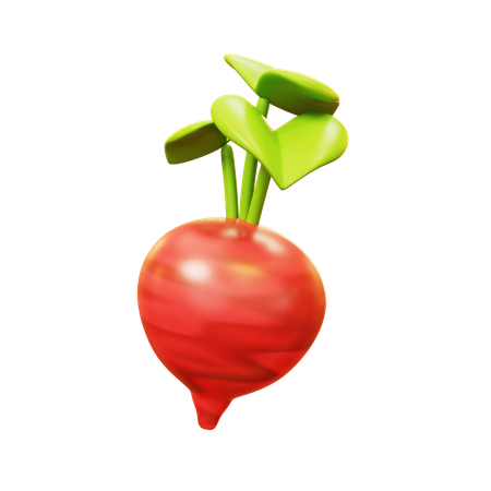 Beetroot  3D Icon