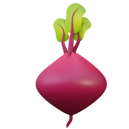 Beetroot  3D Illustration