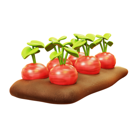 Beetroot Farming  3D Icon