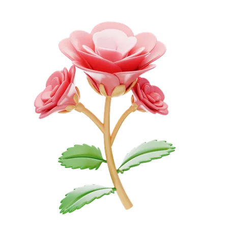 Begonia  3D Icon