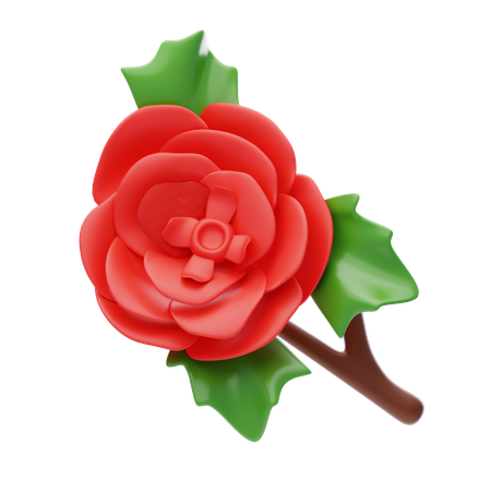 Begonia  3D Icon