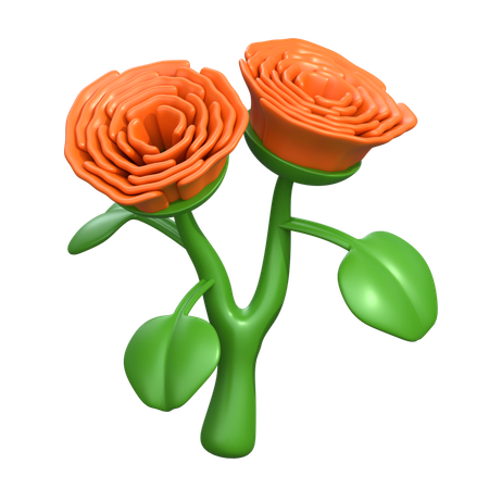 Flor de begonia  3D Icon