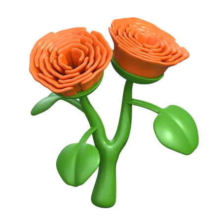 Begonia Flower  3D Icon