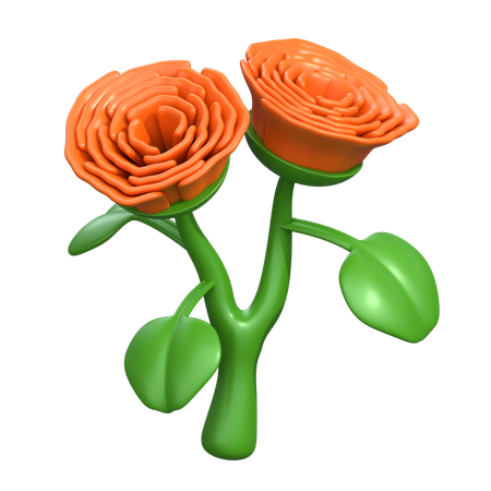 Begonia Flower  3D Icon