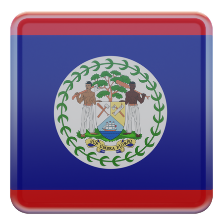 Belize Square Flag  3D Icon