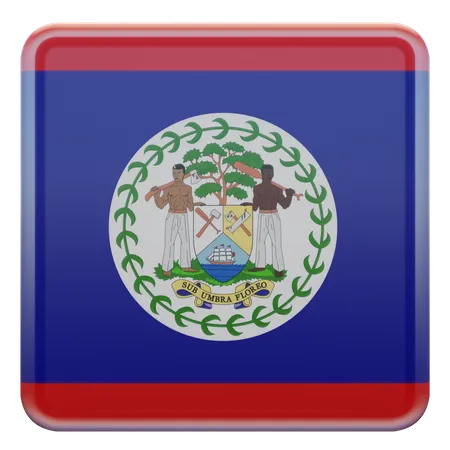 Belize Square Flag  3D Icon