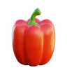 Bell Pepper