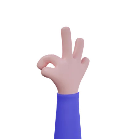Belo gesto com a mão  3D Icon