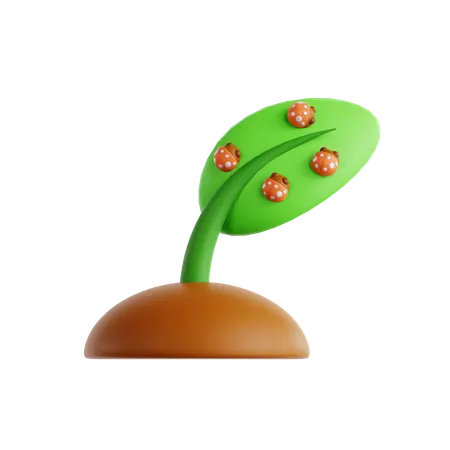 Beneficial Insects  3D Icon