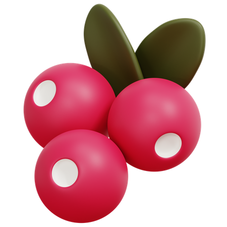 Berries  3D Icon