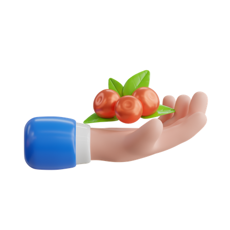 Berries  3D Icon
