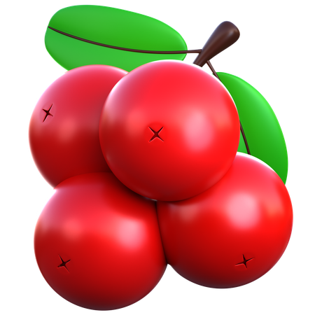 Berry  3D Icon