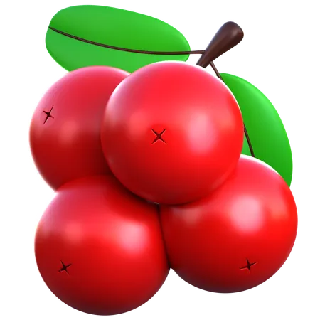 Berry  3D Icon