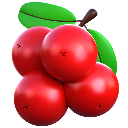 Berry  3D Icon