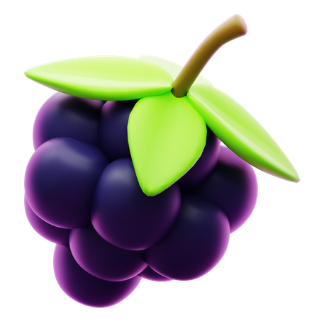 BERRY  3D Icon