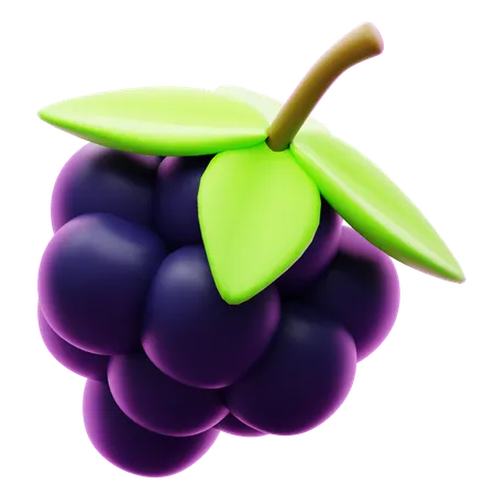 BERRY  3D Icon