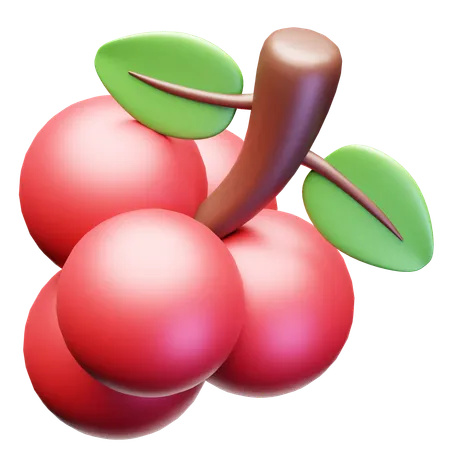 Berry  3D Icon