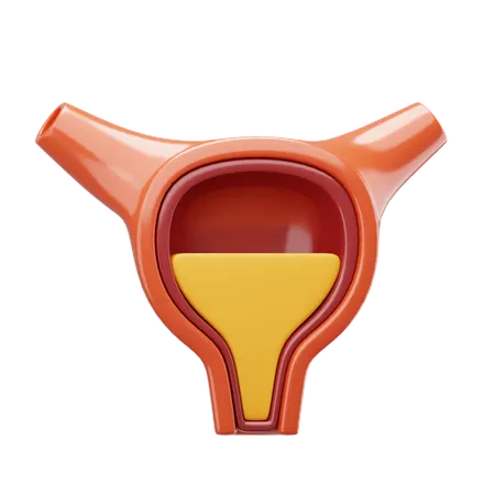 Bexiga  3D Icon