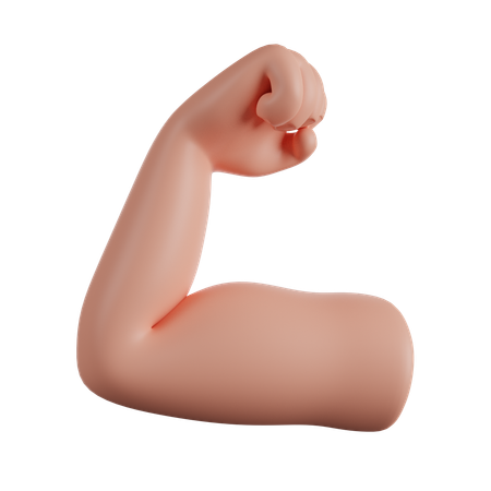 Biceps  3D Icon