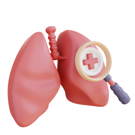 Examen des poumons  3D Icon
