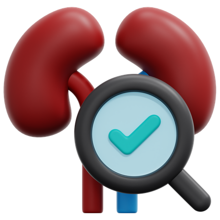 Examen des reins  3D Icon