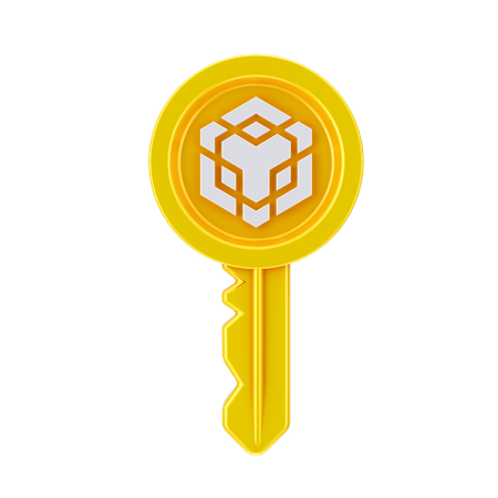 Binance Key  3D Icon