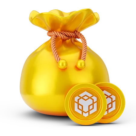 Bolsa de moedas binance  3D Icon