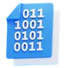 Binary Code