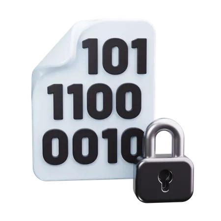 Binary File Lock  3D Icon