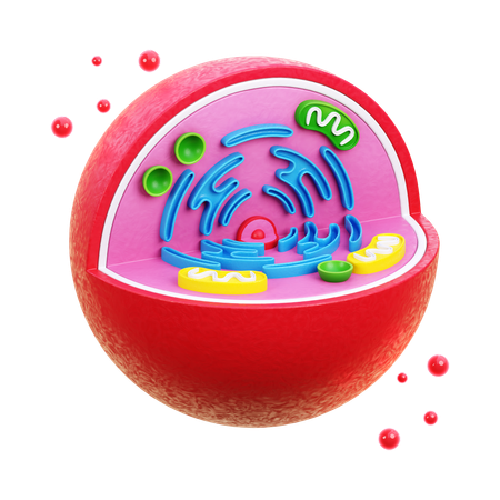 Biology Cell  3D Icon