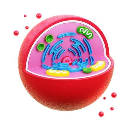 Biology Cell  3D Icon